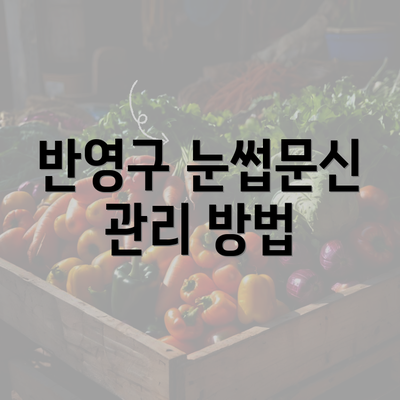 반영구 눈썹문신 관리 방법