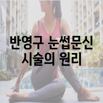 반영구 눈썹문신 시술의 원리