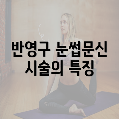 반영구 눈썹문신 시술의 특징