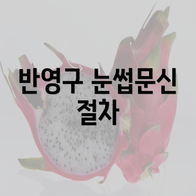 반영구 눈썹문신 절차