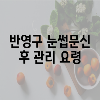 반영구 눈썹문신 후 관리 요령