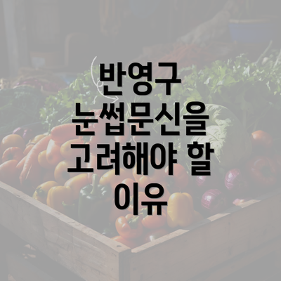 반영구 눈썹문신을 고려해야 할 이유