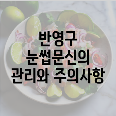 반영구 눈썹문신의 관리와 주의사항