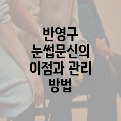 반영구 눈썹문신의 이점과 관리 방법