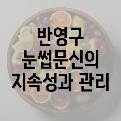 반영구 눈썹문신의 지속성과 관리