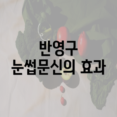 반영구 눈썹문신의 효과