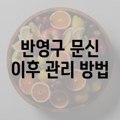 반영구 문신 이후 관리 방법