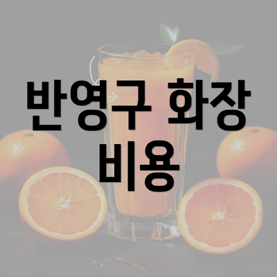 반영구 화장 비용