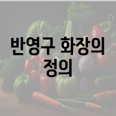 반영구 화장의 정의