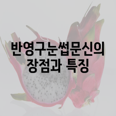 반영구눈썹문신의 장점과 특징