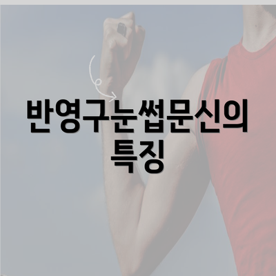 반영구눈썹문신의 특징