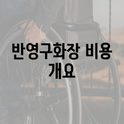 반영구화장 비용 개요