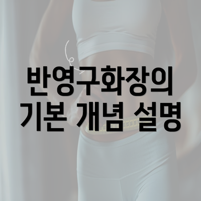 반영구화장의 기본 개념 설명