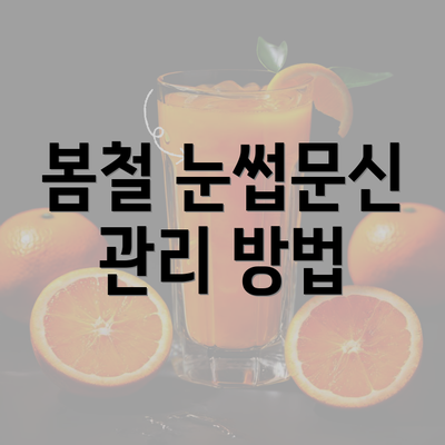 봄철 눈썹문신 관리 방법