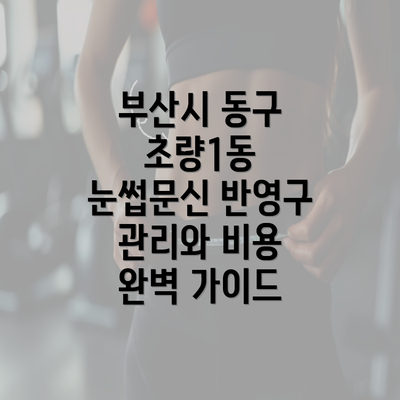 부산시 동구 초량1동 눈썹문신 반영구 관리와 비용 완벽 가이드