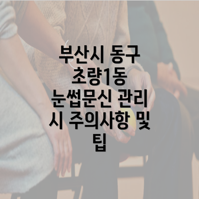 부산시 동구 초량1동 눈썹문신 관리 시 주의사항 및 팁