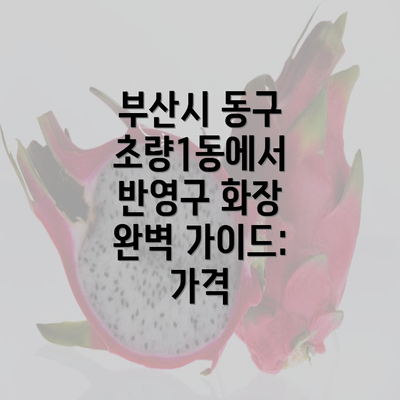 부산시 동구 초량1동에서 반영구 화장 완벽 가이드: 가격