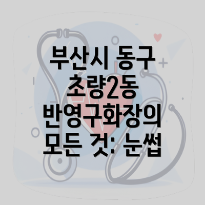 부산시 동구 초량2동 반영구화장의 모든 것: 눈썹