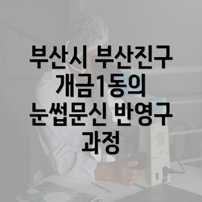 부산시 부산진구 개금1동의 눈썹문신 반영구 과정