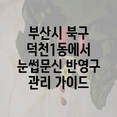 부산시 북구 덕천1동에서 눈썹문신 반영구 관리 가이드