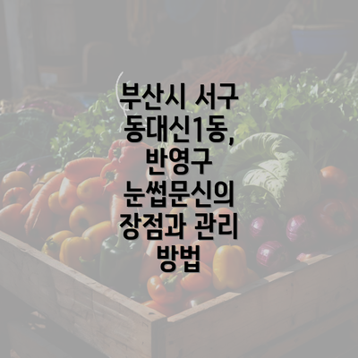 부산시 서구 동대신1동, 반영구 눈썹문신의 장점과 관리 방법