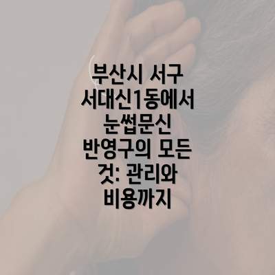 부산시 서구 서대신1동에서 눈썹문신 반영구의 모든 것: 관리와 비용까지