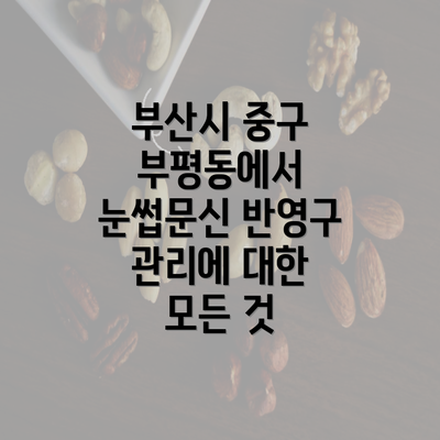 부산시 중구 부평동에서 눈썹문신 반영구 관리에 대한 모든 것