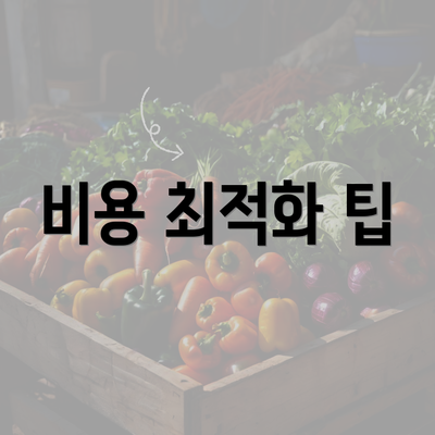 비용 최적화 팁