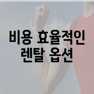 비용 효율적인 렌탈 옵션