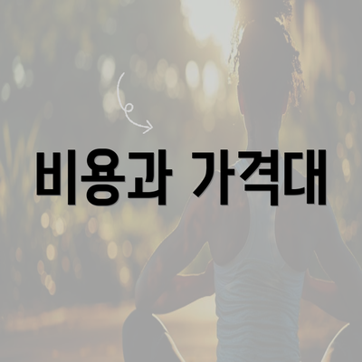 비용과 가격대