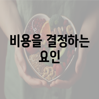 비용을 결정하는 요인