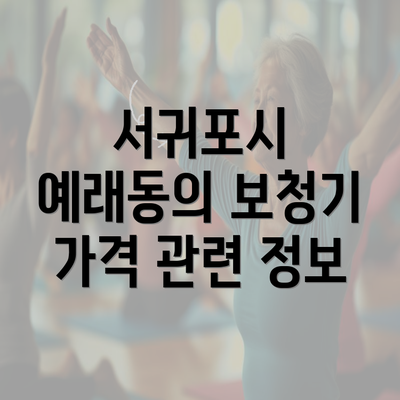 서귀포시 예래동의 보청기 가격 관련 정보