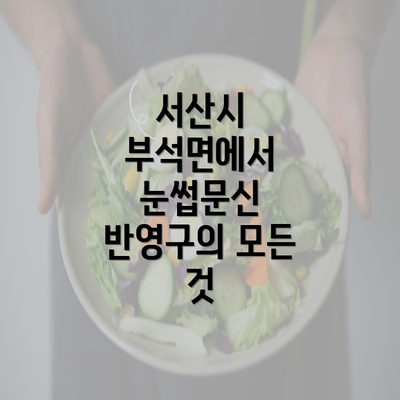 서산시 부석면에서 눈썹문신 반영구의 모든 것