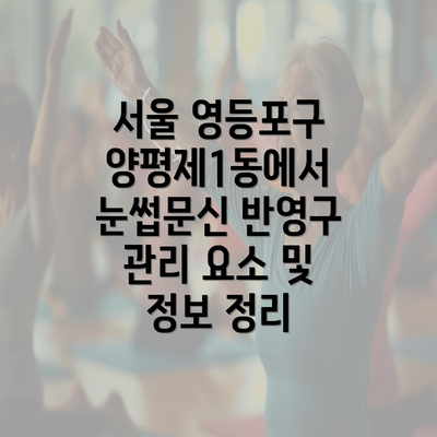 서울 영등포구 양평제1동에서 눈썹문신 반영구 관리 요소 및 정보 정리