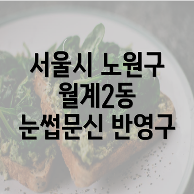 서울시 노원구 월계2동 눈썹문신 반영구