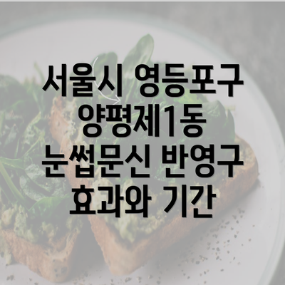 서울시 영등포구 양평제1동 눈썹문신 반영구 효과와 기간