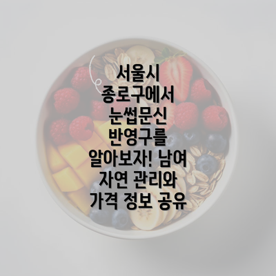 서울시 종로구에서 눈썹문신 반영구를 알아보자! 남여 자연 관리와 가격 정보 공유