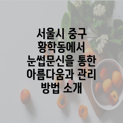 서울시 중구 황학동에서 눈썹문신을 통한 아름다움과 관리 방법 소개