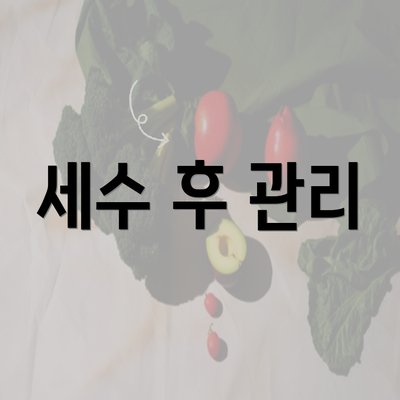 세수 후 관리