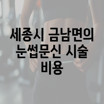 세종시 금남면의 눈썹문신 시술 비용