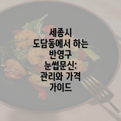 세종시 도담동에서 하는 반영구 눈썹문신: 관리와 가격 가이드