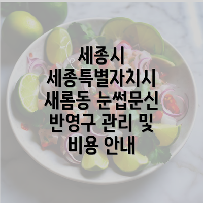 세종시 세종특별자치시 새롬동 눈썹문신 반영구 관리 및 비용 안내