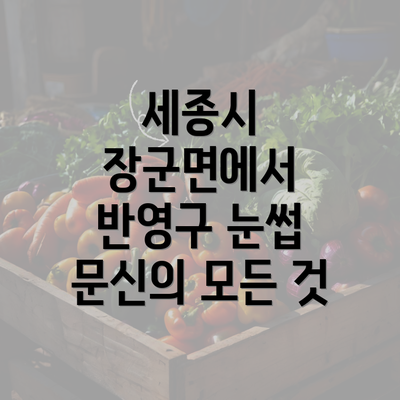 세종시 장군면에서 반영구 눈썹 문신의 모든 것