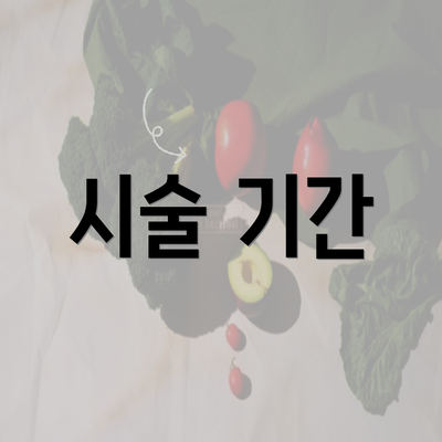 시술 기간