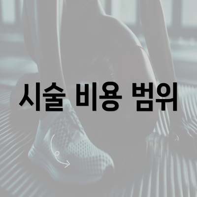 시술 비용 범위