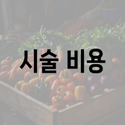 시술 비용