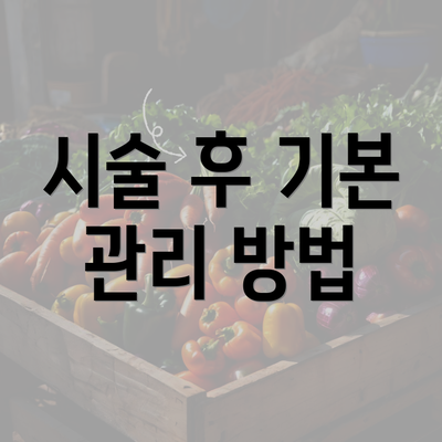 시술 후 기본 관리 방법