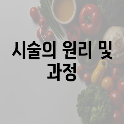 시술의 원리 및 과정