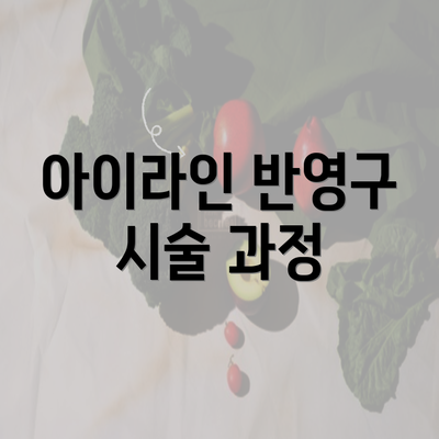 아이라인 반영구 시술 과정