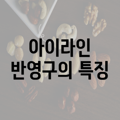 아이라인 반영구의 특징